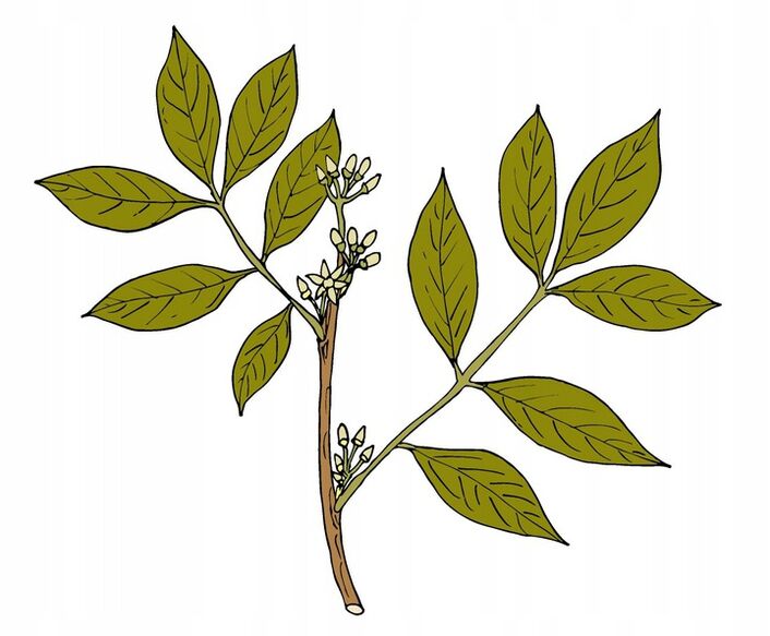 Bluestone acheter capsules et gouttes En France, composition, prix